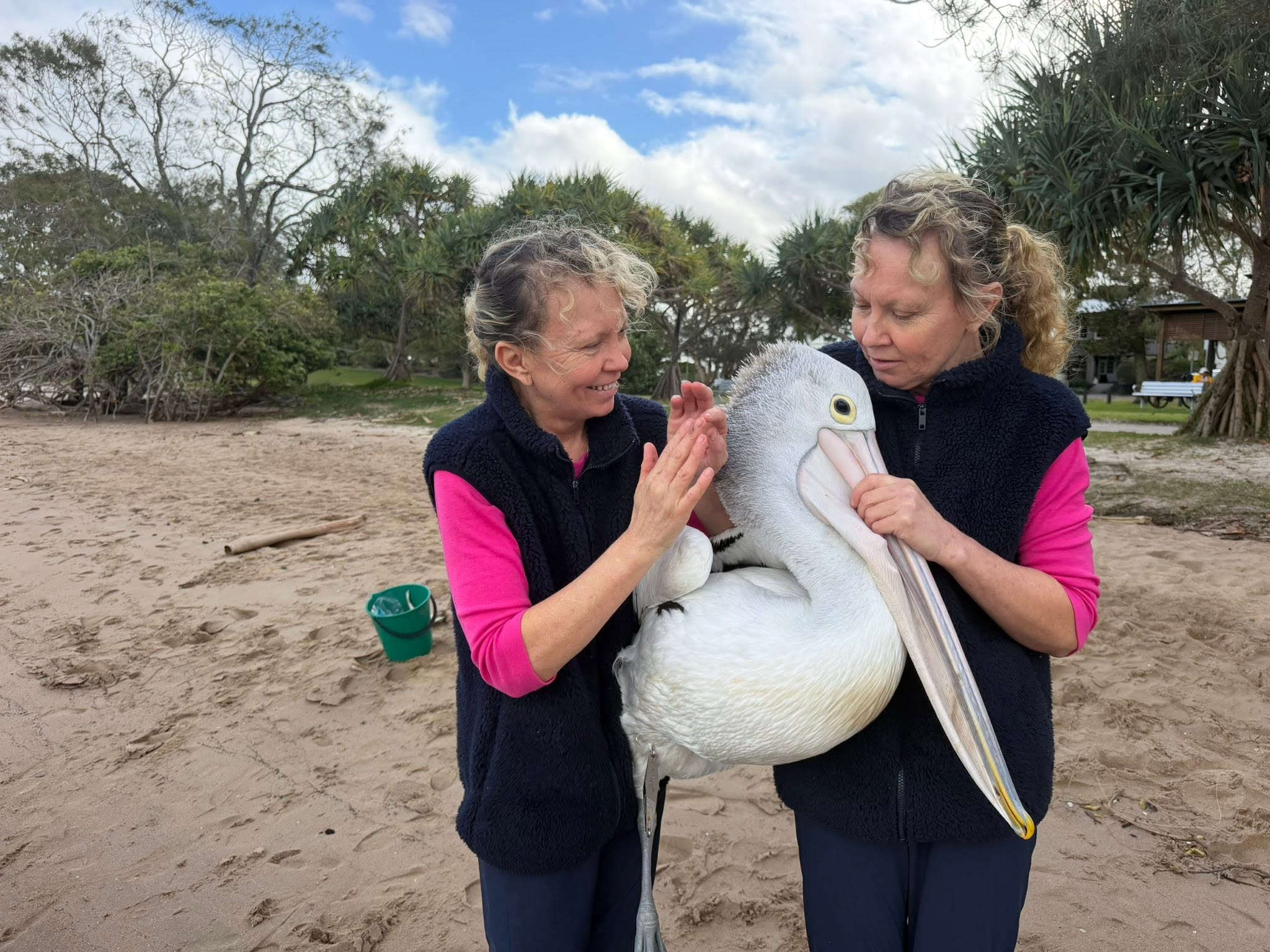 Twinnies with pelican