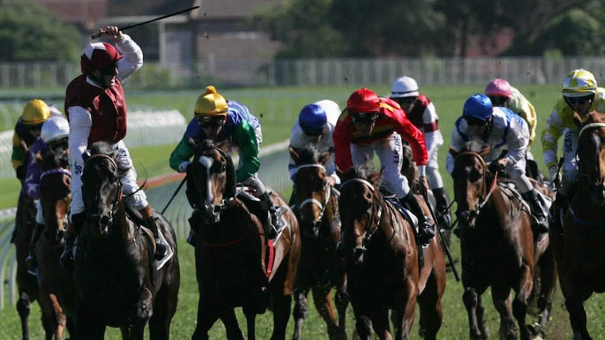 Horses racing in the Spring Champion Stakes