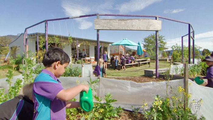 Kids tending in plants in a school playground