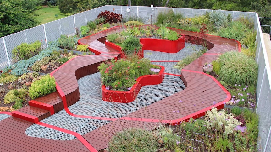 A green roof in Melbourne.