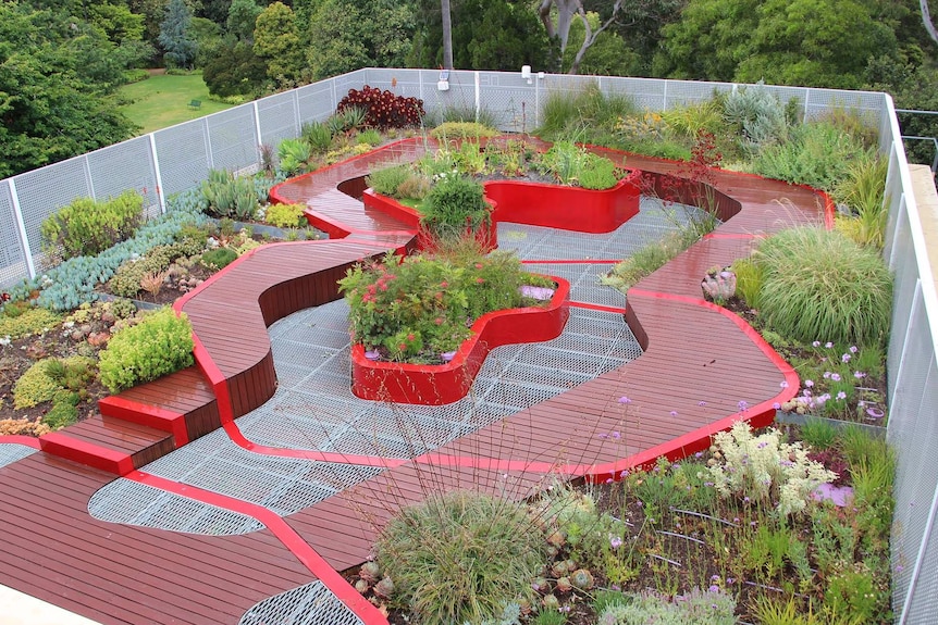 A green roof in Melbourne.