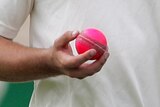 Pink cricket ball generic