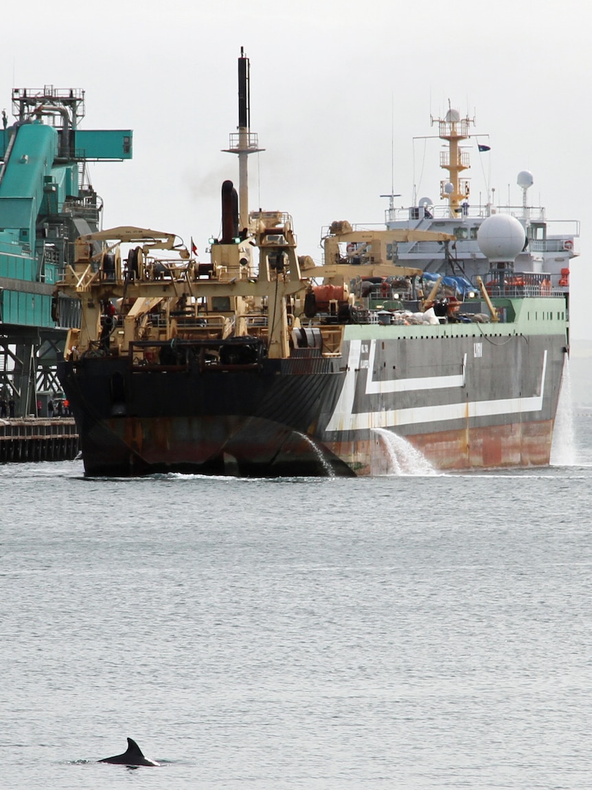 Super trawler hits Australian shores