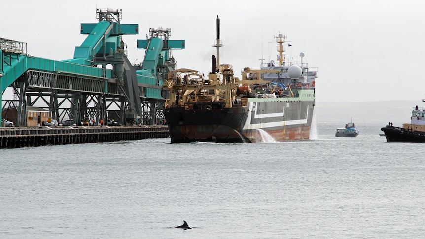 The super trawler was brought to Australia by Seafish Tasmania.