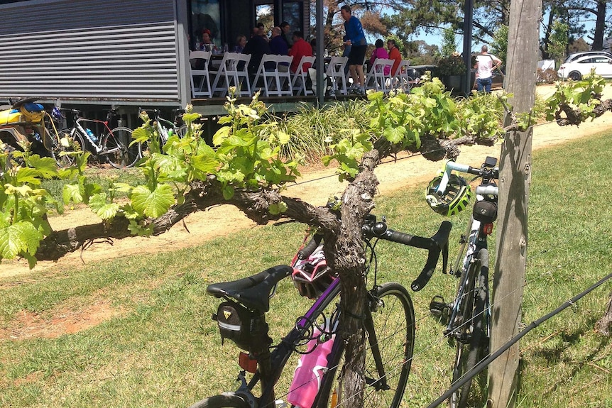 Bikes in the foreground next to grape vines with people in the background at a cafe