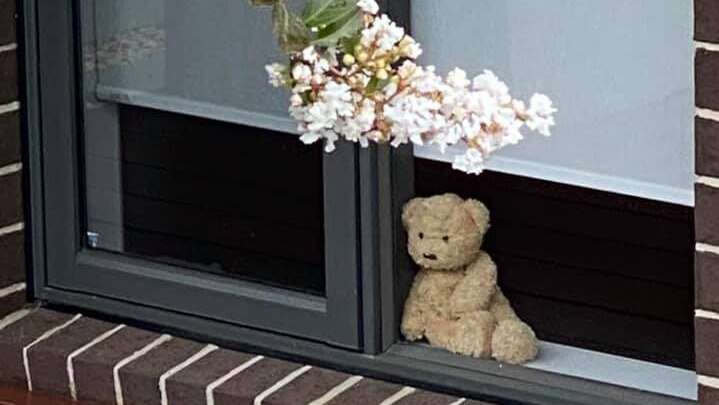 A light brown teddy bear sits in a window with a tree flowering outside.