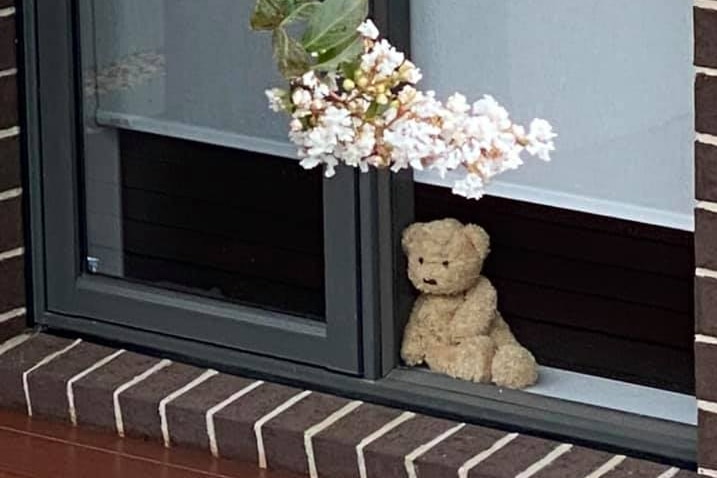 A light brown teddy bear sits in a window with a tree flowering outside.