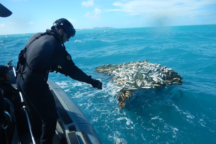 A man in a black diving suit with a helmet on is about to attach a tracker to a net.