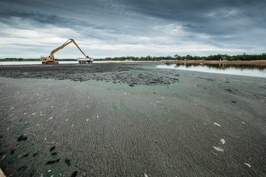 An excavator arm loads a lorry before a moody cloudy sky above sewage ponds compacted with wipes