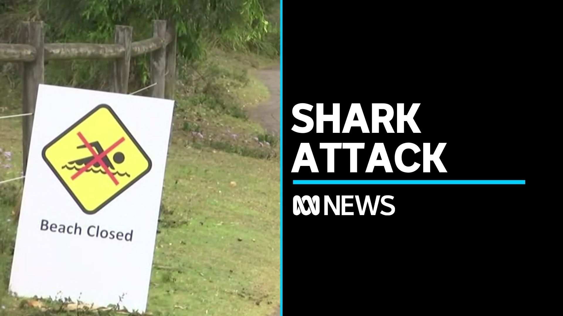 Fatal shark attack on the NSW mid-north coast - ABC News