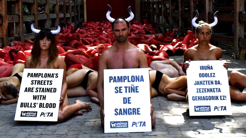 Bull fighting protests in Pamplona