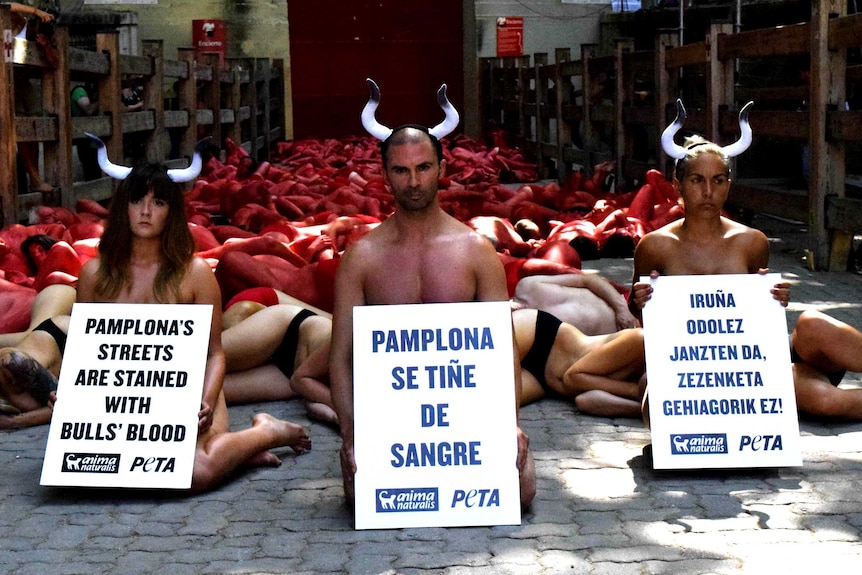 Bull fighting protests in Pamplona