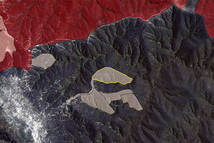 Satellite image showing planned logging outside allocation Prancer allocation order