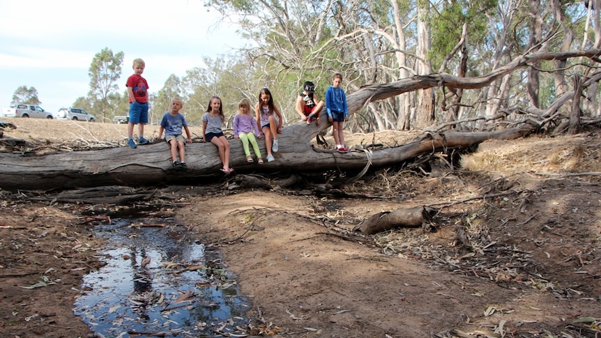 Seven children sitting on a log watching a dry creek fill with water