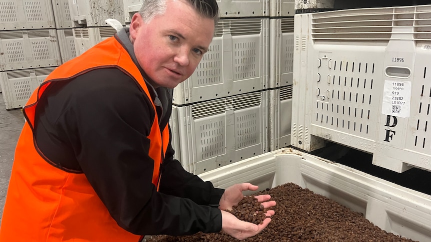 Craig Greenwood holds a handful of dehydrated sultanas
