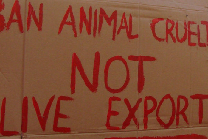 Farmers lean out of a ute holding handmade cardboard sign out the window that reads 'Ban Animal cuelty, not live exports.'