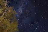 Night sky at Gem Tree, north of Alice Springs