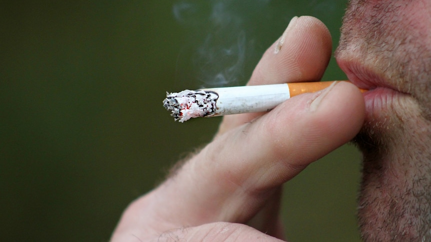 Man puts tobacco cigarette in his mouth.