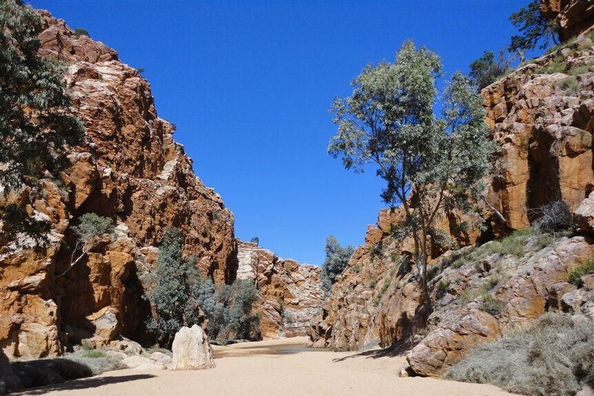 Wide photo of a small gorge with rocky cliffs on either side and a small pool in the middle.