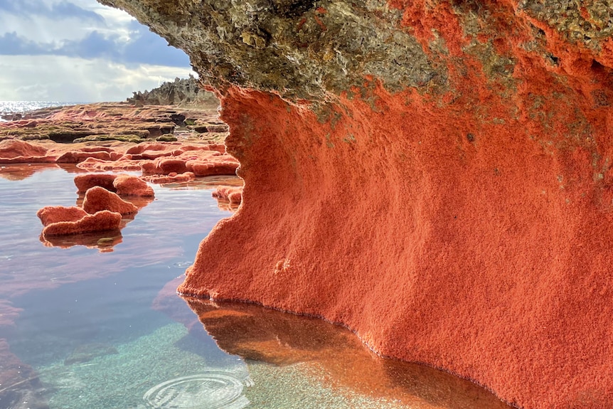 Rocks covered in what looks like red dust, but is tiny red crabs 