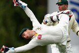 Matthew Wade has been cleared to play in the second Test despite fracturing a cheekbone.