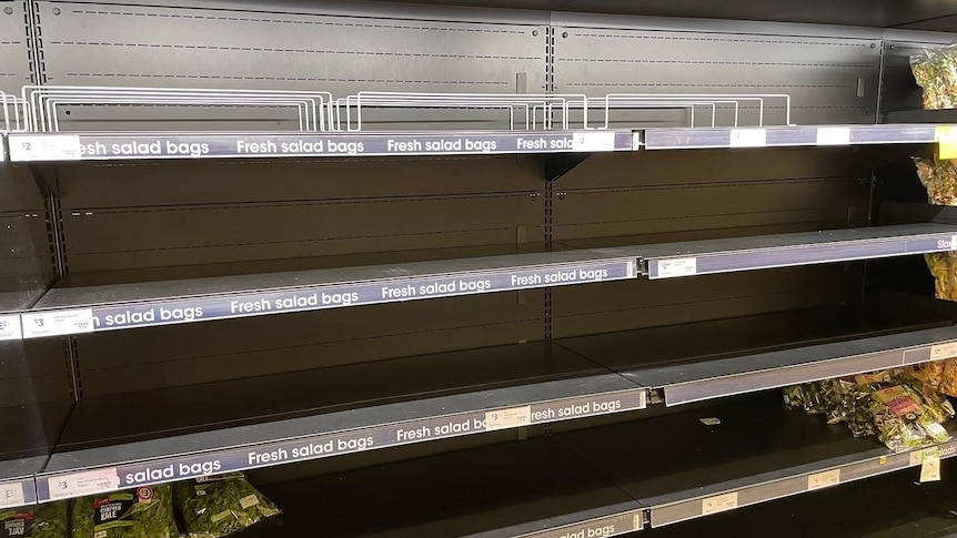 Lettuce shelves at Woolworths are completely empty of produce. 