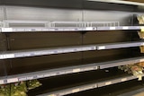Lettuce shelves at Woolworths are completely empty of produce. 