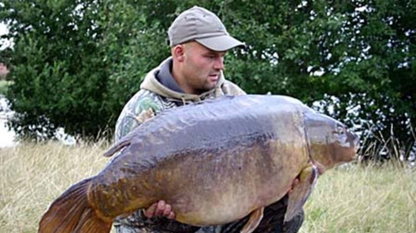 An angler holds 'Two Tone', a giant 30kg mirror carp