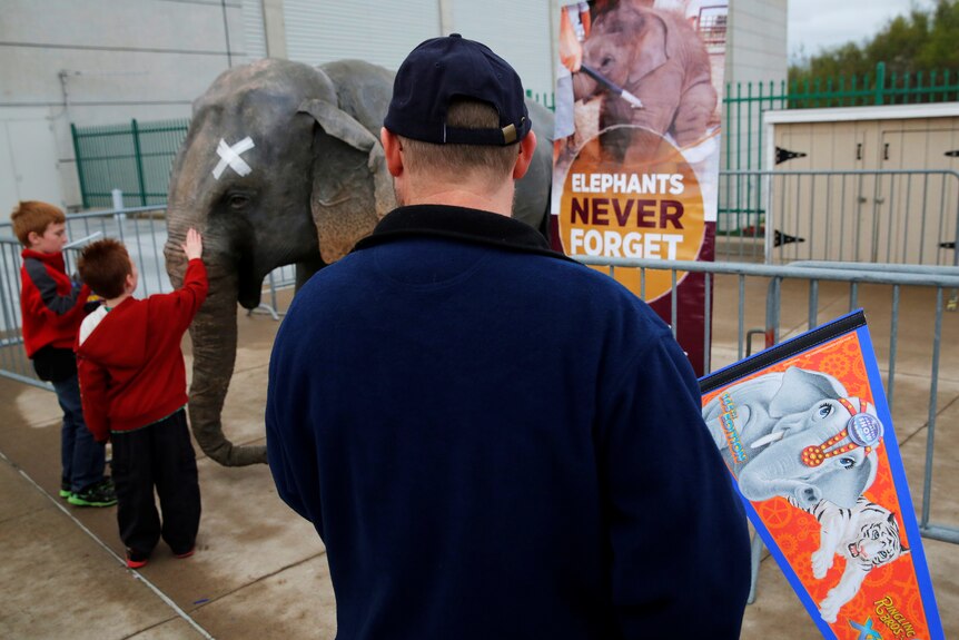 Children touch a PETA protest elephant following the final show