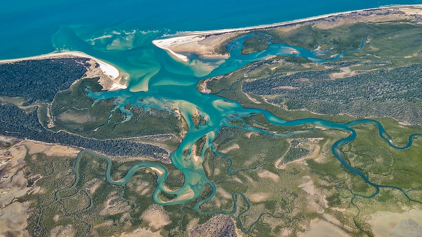 Winding blue creeks and estuaries reaching out to sea