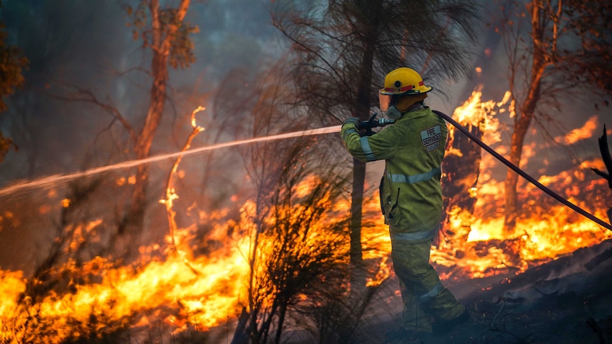 A firefighter dousing a massive blaze in water, smoke, trees burning.