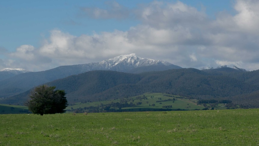 A wide shot of a snow-tipped Mount Buller.