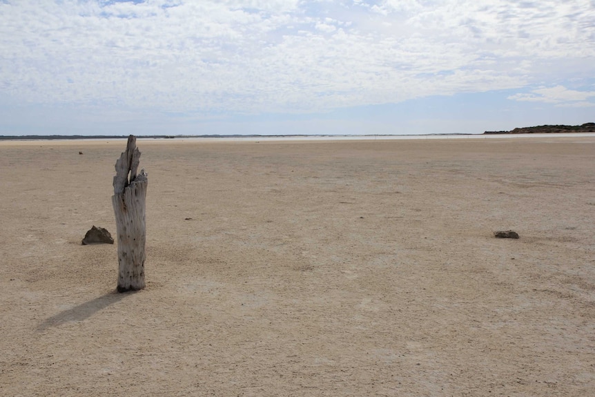 The Coorong is a series of lakes towards the end of the Murray Darling Basin