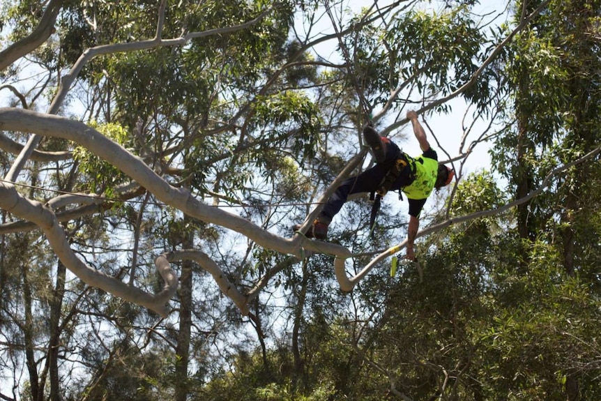 Reaching for a bell during a work climb