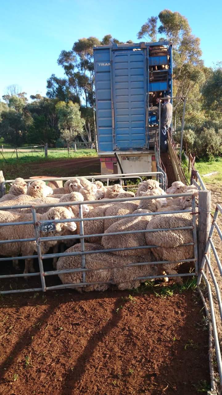 South Australian Farmer Overcomes Own Tragedy To Help Reduce Stigma ...