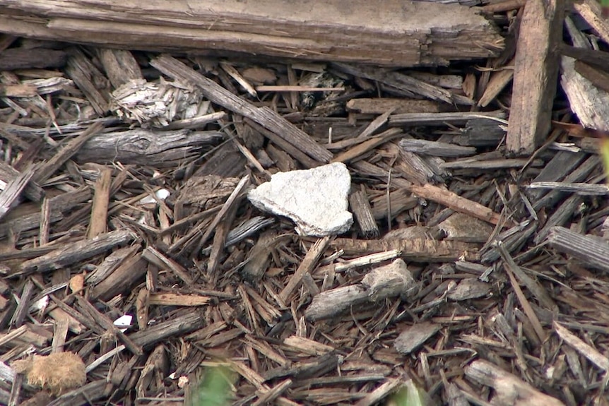 Debris at site bordering the City West Link