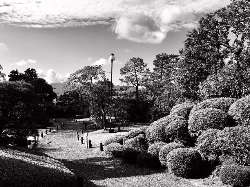 Clouds over a Japanese traditional garden in black and white