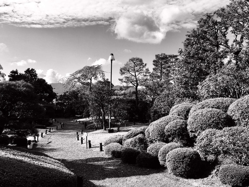 Clouds over a Japanese traditional garden in black and white