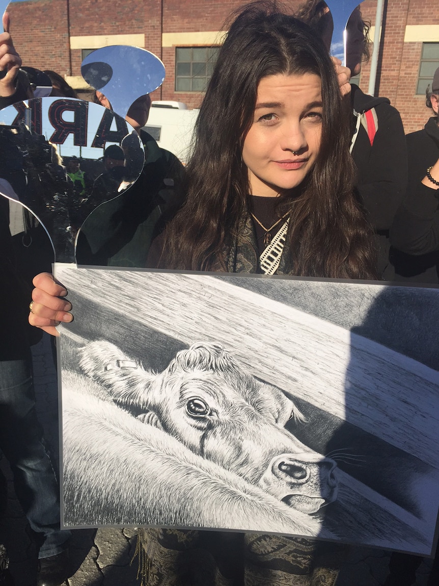 Animal rights protester at Dark Mofo's bull slaughter show.