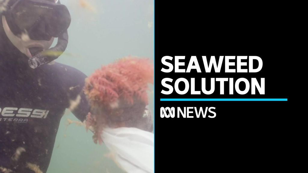 The Newsroom (American TV series) visual data 7