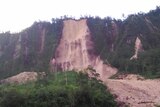 A landslide off the side of a cliff.