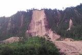 A landslide off the side of a cliff.