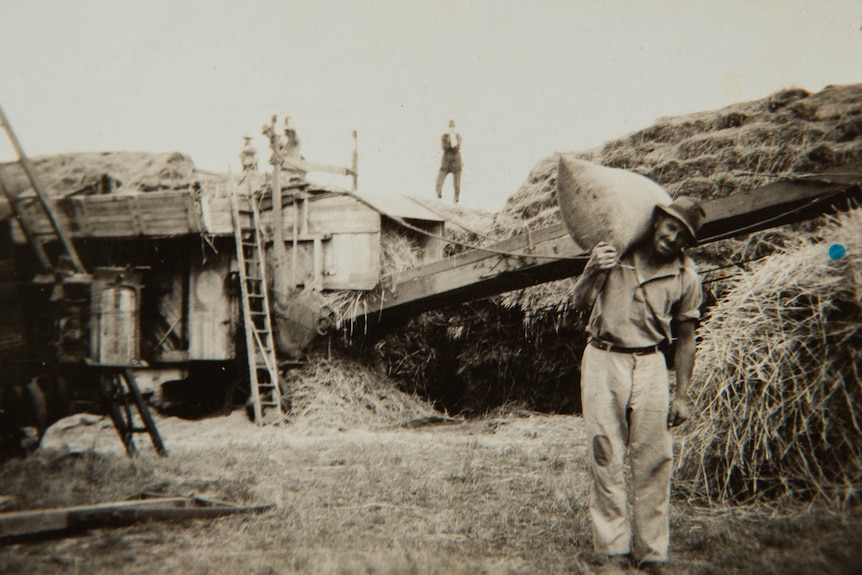 Old black and white of men threshing grain. Man in foreground has very heavy bag on his shoulder.