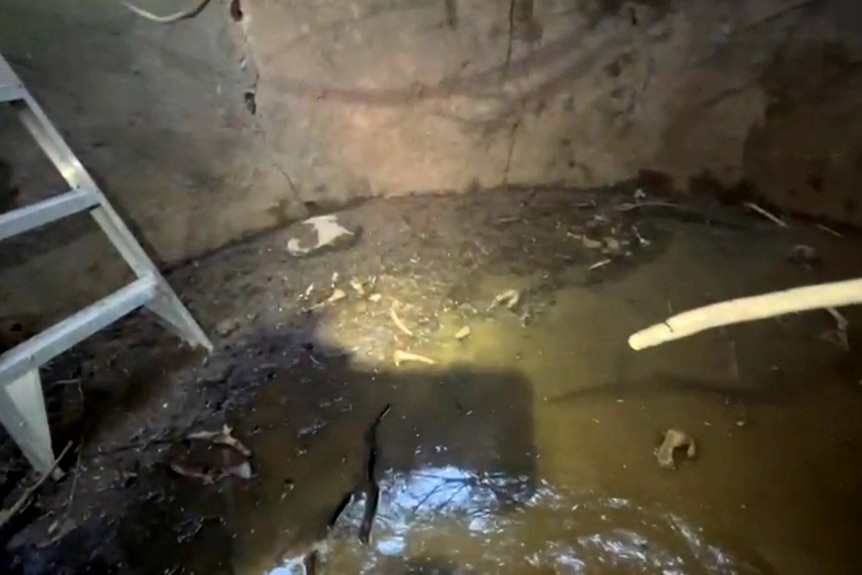 Inside an underground tank on Kangaroo Island where a joey became trapped. 