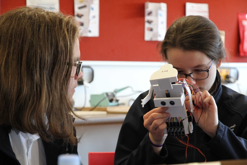 Two students stare closely at a small, 25-centimetre robot with wires sticking out of it.