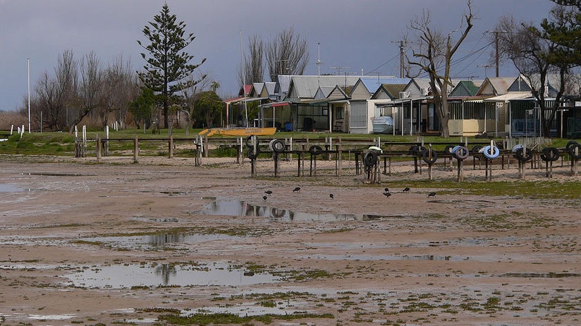 More water needed: Lake Alexandrina.