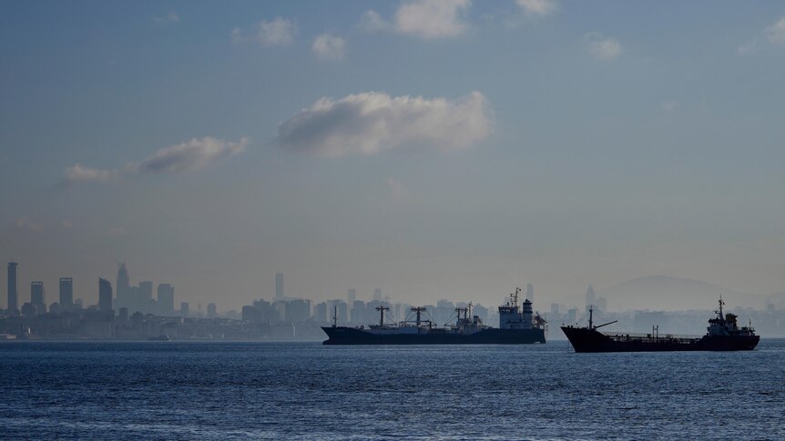 Two cargo ships are seen from a distance, with a cityscape outlined in the horizion over a large expanse of water.