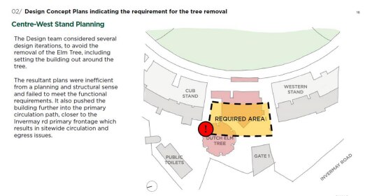 A diagram showing an area a football stadium proposed extension will impact upon an old elm tree