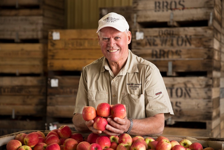 A man in a packing shed holding apples
