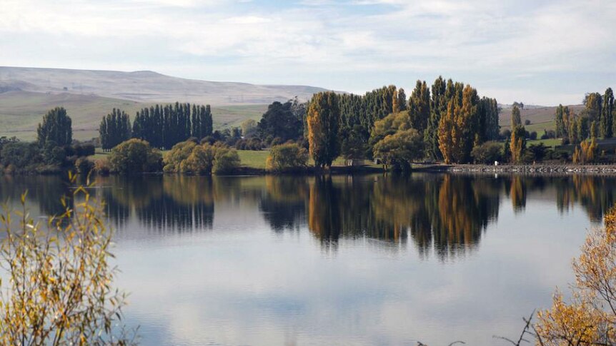 Lake Meadowbank is a popular fishing area, surrounded by farmland in the Derwent Valley.